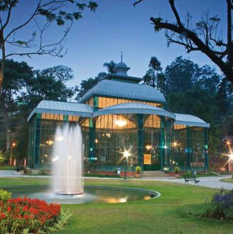 The Crystal Palace