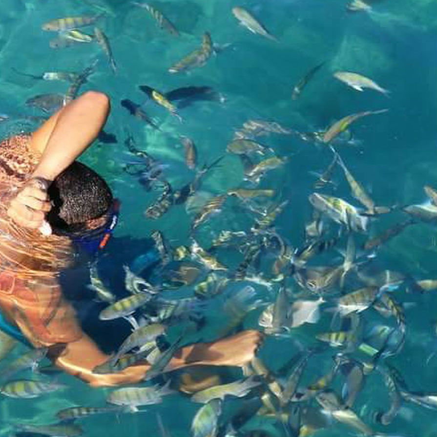 The Tropical Islands