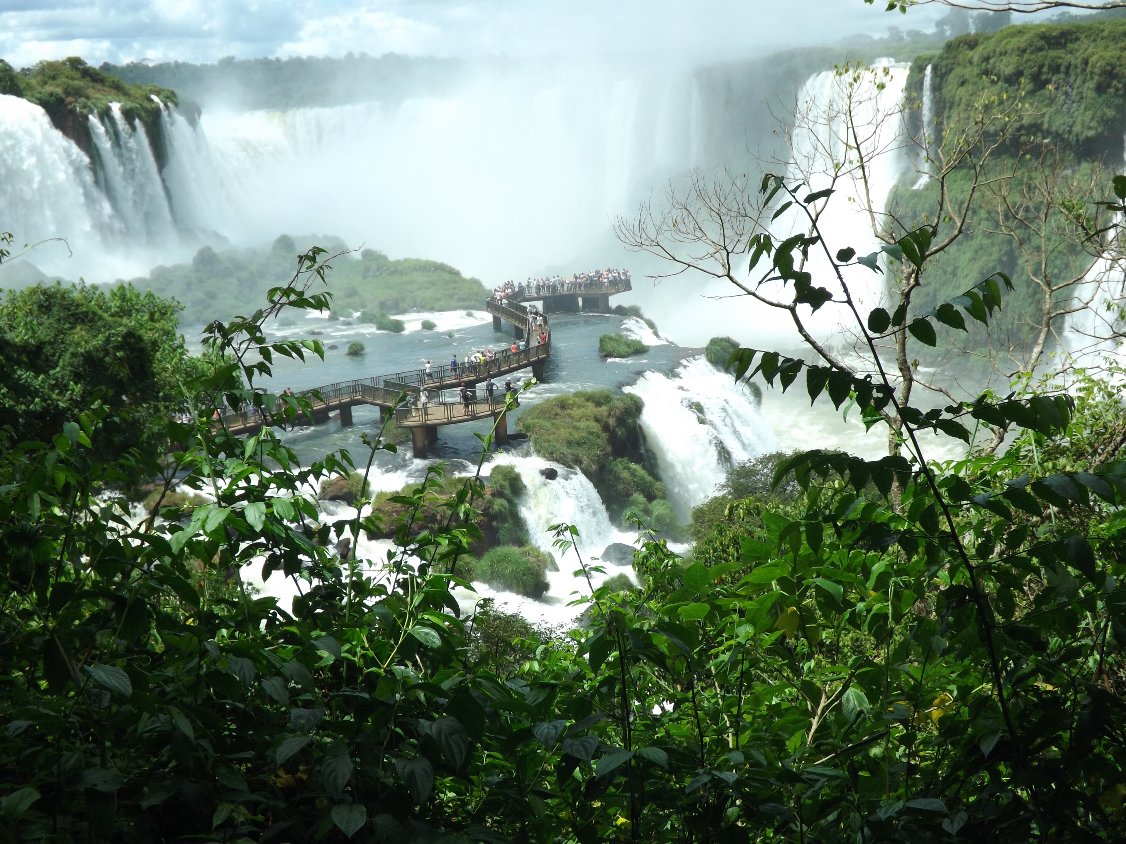 The Falls Themselves