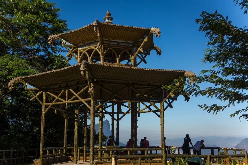 Tijuca Forest